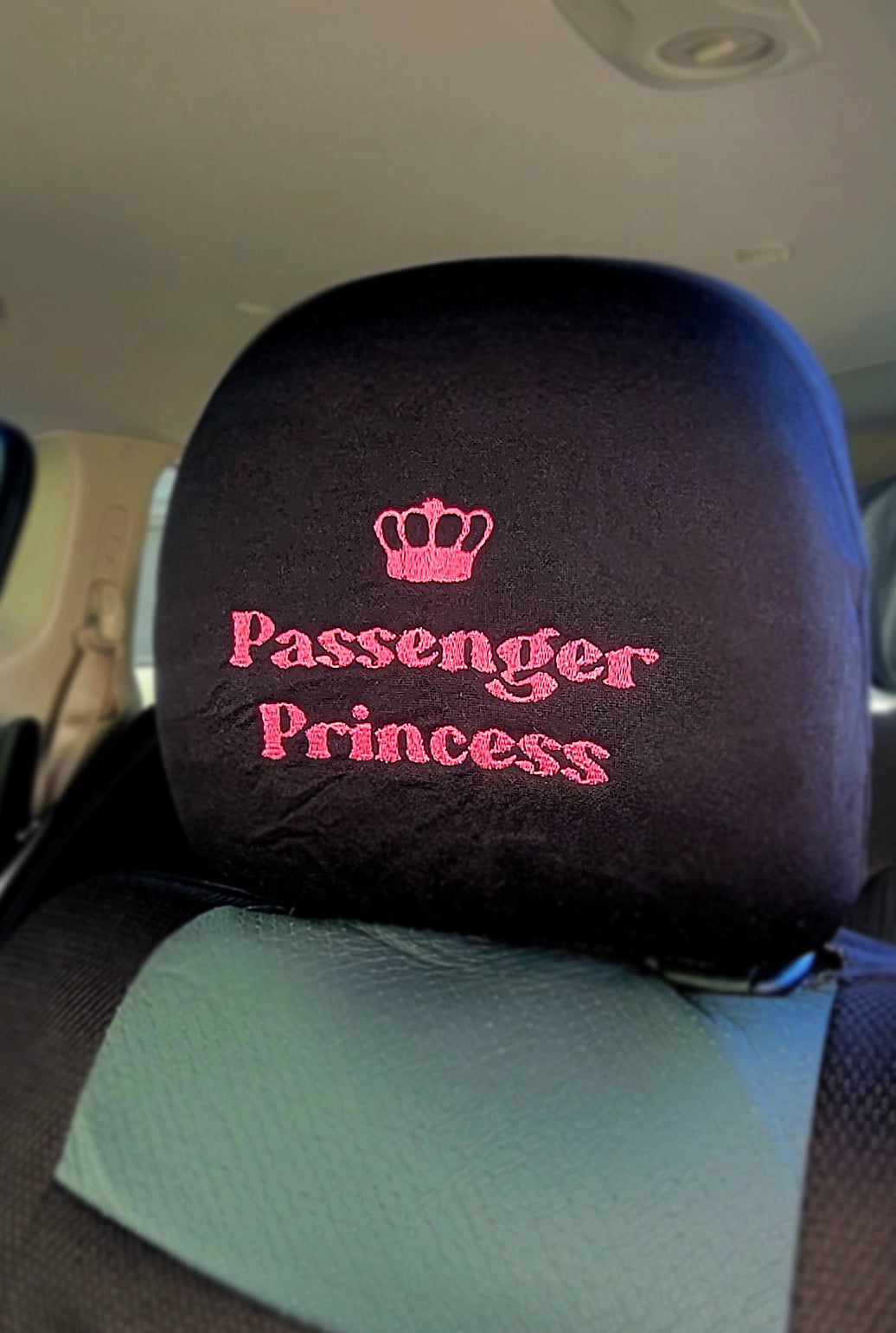 Passenger Princess install image 